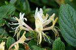 Dcim4841/DSC_0744