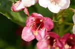 Dcim4841/DSC_0752