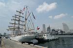 Dcim4843/DSC_0841