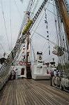 Dcim4846/DSC_1212