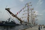 Dcim4847/DSC_1311