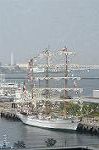 Dcim4847/DSC_1338
