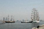 Dcim4850/DSC_5484