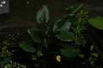 Dcim4855/DSC_1791