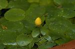Dcim4855/DSC_1801