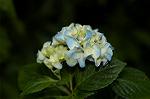 Dcim4855/DSC_1805