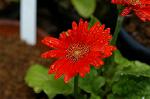 Dcim4855/DSC_1848