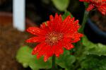 Dcim4855/DSC_1849