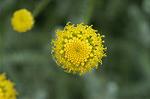 Dcim4855/DSC_1892