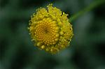 Dcim4855/DSC_1899