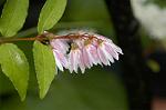 Dcim4856/DSC_1922