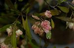 Dcim4856/DSC_1926
