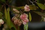 Dcim4856/DSC_1927