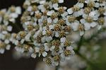 Dcim4856/DSC_1933