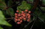 Dcim4856/DSC_1957