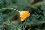 Dcim4856/DSC_2014
