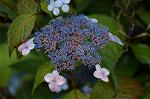 Dcim4856/DSC_2025