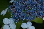 Dcim4857/DSC_2034