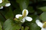 Dcim4857/DSC_2068