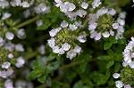 Dcim4857/DSC_2086