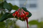 Dcim4858/DSC_2167