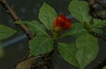 Dcim4858/DSC_2214