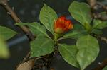 Dcim4858/DSC_2217