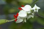 Dcim4858/DSC_2229