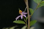 Dcim4858/DSC_2249