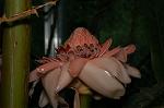 Dcim4858/DSC_2274