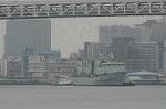 Dcim4859/DSC_2294
