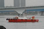 Dcim4859/DSC_2307