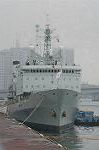 Dcim4864/DSC_2949
