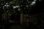 Dcim4864/DSC_3001