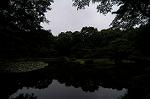 Dcim4865/DSC_0048