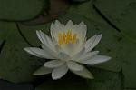 Dcim4865/DSC_0066