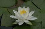 Dcim4865/DSC_0069