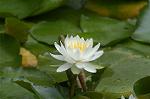 Dcim4865/DSC_0100
