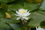Dcim4865/DSC_0101