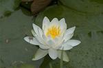 Dcim4865/DSC_0108