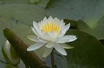 Dcim4865/DSC_0112