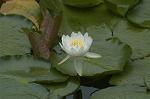 Dcim4865/DSC_0116