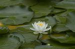 Dcim4865/DSC_0119
