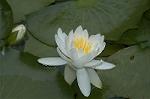 Dcim4865/DSC_0122