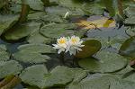 Dcim4866/DSC_0131