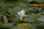 Dcim4866/DSC_0141