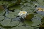 Dcim4866/DSC_0145