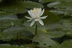 Dcim4866/DSC_0153