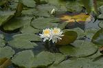 Dcim4866/DSC_0158