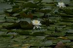 Dcim4866/DSC_0163
